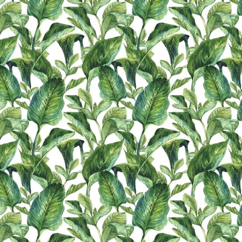 Carta da parati LEAVES