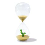 Clessidra Cactus 30 minuti di WD Lifestyle.