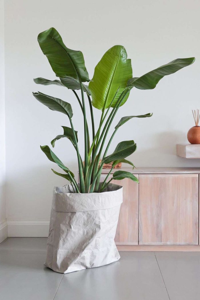 Il Saccone di Essent'ial, contenitore Eco-Friendly.